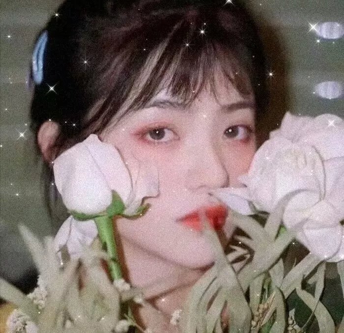 虎盗情魔